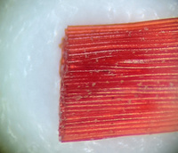 Нить-резинка для бус/браслетов 0,8 мм, цвет: Красный, длина: 10 м #36, Валерий С.