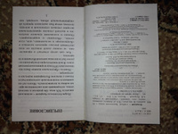 Две книги серии "Легко читаем по Испански": "Треугольная шляпа" + "Собака на сене" | де Аларкон Педро Антонио, Лопе де Вега #7, Станислав Викторов