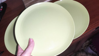 Набор тарелок для пикника на 6 персон D200 мм, 6 шт. (салатовый) #2, Ольга К.