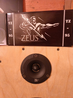 Zeus Колонки для автомобиля TZ-95 #3, Дмитрий П.