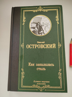 Как закалялась сталь | Островский Николай Алексеевич #1, Анастасия П.