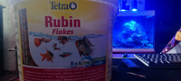 TetraRubin сухой корм в хлопьях для улучшения окраса всех видов рыб 10 л (ведро) #37, Александр Л.