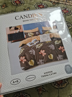 Комплект постельного белья Candies семейный, Сатин люкс, наволочки 70x70, 50x70, простыня на резинке по кругу #27, Екатерина О.