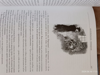 Уайльд Сказки Полное собрание Илл. издание с закладкой-ляссе | Уайльд Оскар #3, Юлия К.