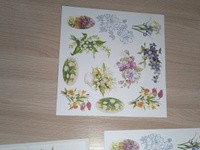 Набор бумаги для скрапбукинга 20х20 см "Первоцветы" #95, Елизавета Б.