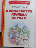 Королевство кривых зеркал. Внеклассное чтение | Губарев Виталий Георгиевич #2, Ирина З.