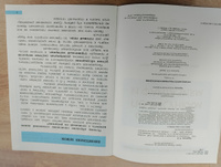 Пишем сочинения на "отлично". Сочинения по рисункам и фантазиям | Чуракова Наталия Александровна #4, Юлия И.