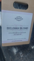 Зерновой набор для приготовления домашнего пива "Belgian Blond" Beervingem на 22 л. #29, Дмитрий А.