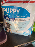 ROYAL CANIN Size Health Nutrition Maxi Puppy корм для щенков собак крупных пород 3кг #1, Наталия К.