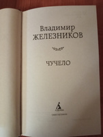 Чучело | Железников Владимир Карпович #6, Елизавета Д.