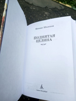 Поднятая целина | Шолохов Михаил Александрович #4, Павел Ч.