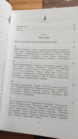 Магия трав от А до Я. Полная энциклопедия волшебных растений | Каннингем Скотт #8, Анастасия С.