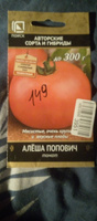 Семена томатов "Алёша Попович" 0,1 гр, для дома, дачи и огорода, в открытый грунт, в контейнер, на рассаду, помидоры из семян. #39, Лилия З.