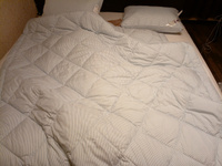 Одеяло 2 спальное Мягкий сон 172х205 см двухстороннее стеганое гипоаллергенное #6, Денис И.