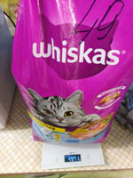 Whiskas корм для взрослых стерилизованных кошек всех пород, подушечки с курицей 5 кг #71, Татьяна С.