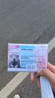 Обложка Бобр документ для паспорта/загранпаспорта #4, Владимир Ш.