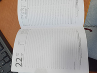 Ежедневник датированный 2024 ESCALADA А5 в твёрдом переплёте кожзама с поролоном с мотивирующими цитатами и закладкой-ляссе, белая бумага в линию 176л #6, Энже Х.