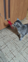 Игрушка для кошек интерактивная дразнилка на присоске перо #85, Ольга В.