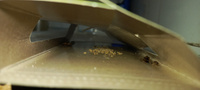Клеевая ловушка домик Аргус (Argus) от тараканов и муравьев, комплект из 20 шт. #5, Андрей Т.