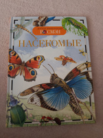 Насекомые. Детская энциклопедия школьника РОСМЭН | Травина Ирина Владимировна #6, Марина Б.