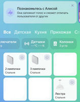 Умный двухклавишный выключатель работает с Яндекс Алисой #5, Сергей А.
