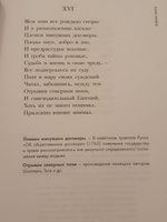 Книга Евгений Онегин с иллюстрациями Шаймарданова И.Д. Краткий комментарий Леонид Рожников. Автор Александр Сергеевич Пушкин. | Пушкин Александр Сергеевич, Рожников Леонид Владимирович #30, Светлана