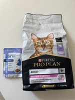Сухой корм Pro Plan Delicate для кошек с чувствительным пищеварением, с индейкой, 1,5 кг #48, Наталья Г.