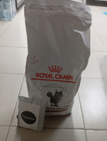 Сухой корм Royal Canin Gastrointestinal Hairball Control для кошек при патологии ЖКТ, с курицей, 2 кг. #12, Дмитрий Б.