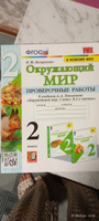 Окружающий мир. 2 класс. Проверочные работы к учебнику А. А. Плешакова. ФГОС | Погорелова Надежда Юрьевна #1, Лофиченко Г.