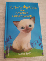 Котёнок Фиалка, или Коробка с сюрпризом (выпуск 9) / Sky the Unwanted Kitten. | Вебб Холли #7, Татьяна В.