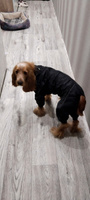 Комбинезон для собак крупных пород, демисезонная одежда для животных, дождевик водоотталкивающий ветронепродуваемый #11, Денис Г.