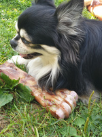 Лакомства Dog-Pet Запеченная говяжья кость для собак . Сделано в Карелии #1, Елена К.