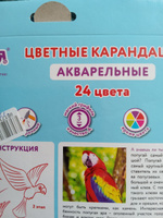 Юнландия Набор карандашей, вид карандаша: Акварельный, 24 шт. #4, Ольга