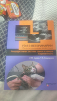 УЗИ в ветеринарии. Мелкие домашние животные. Репродуктивная система самок и самцов. Беременность #1, Кирилл А.