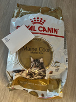 Сухой корм Royal Canin Maine Coon Adult для кошек породы мейн-кун, Курица, 10 кг #20, Евгений