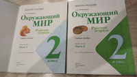 Окружающий мир 2 класс. Рабочая тетрадь Ч. 1,2 (Школа России) (Новый ФГОС) | Плешаков А. #2, Оксана В.