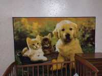 Ковер на стену, ковер-картина (щенок и котята), размер 1.5 х 2.0 м, Витебские ковры #117, Екатерина В.