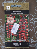 Семена томатов "Терек F1", 12 шт, для дома, дачи и огорода, в открытый грунт, в контейнер, на рассаду, помидоры из семян. #44, Амбарян Сирине