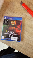 Игра Stray PS4 #12, василий к.