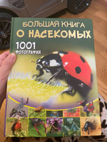 Большая книга о насекомых. 1001 фотография | Спектор Анна Артуровна #1, Дарья С.