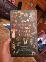 Лесной гид: грибы, ягоды, травы. Карманный атлас-определитель | Семенова Людмила Семеновна #15, Гирис Екатерина Сергеевна