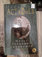 Малое собрание сочинений | Астафьев Виктор Петрович #4, Ирина С.