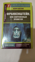 Франкенштейн, или Современный Прометей | Шелли Мэри Уолстонкрафт #10, Алексей П.