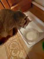 Sheba влажный корм для кошек, нежный паштет в желе, с курицей (28шт в уп) 75 гр #55, Лилия М.