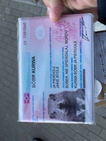 Обложка Бобр документ для паспорта/загранпаспорта #8, Евгений Х.