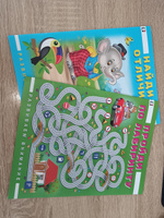 Книги для детей с развивающими заданиями: лабиринты, ребусы, головоломки из серии "Развиваем внимание" (комплект из 2 пособий) #1, Марина Х.