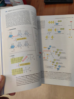 Основы молекулярной биологии клетки 3 изд | Альбертс Брюс, Хопкин Карен #1, Михаил Ш.