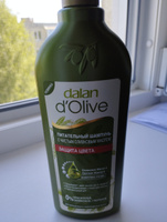 Dalan d'Olive 400 мл Натуральный турецкий шампунь для окрашенных и мелированных волос Защита Цвета, женский, мужской #30, Наталья Е.