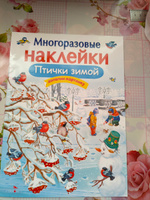 Многоразовые наклейки на плёнке Птички зимой | Александрова Ольга Викторовна #3, Ольга К.