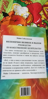 Бесконечно великое в малом. Руководство по божественному целительству. #4, Татьяна С.